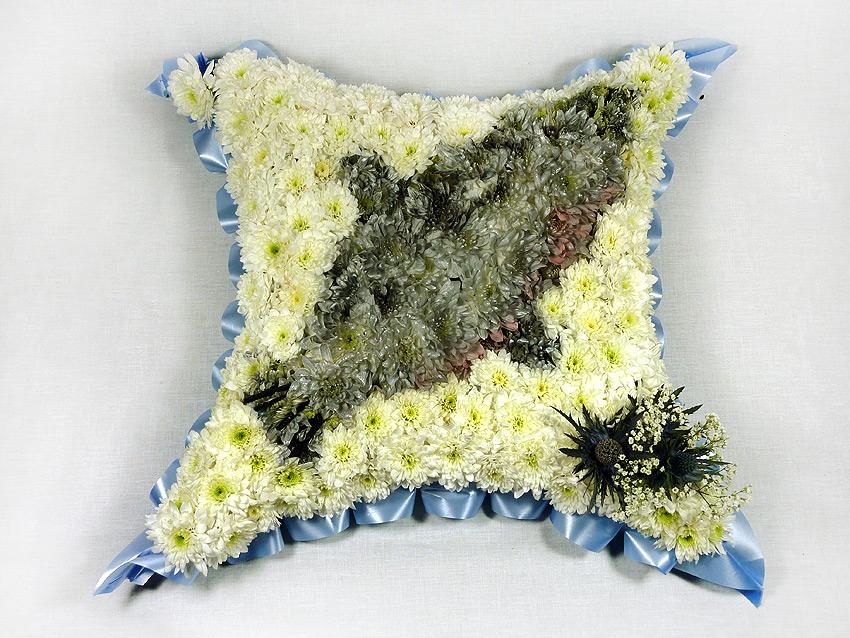 Cushion (with any flat image)